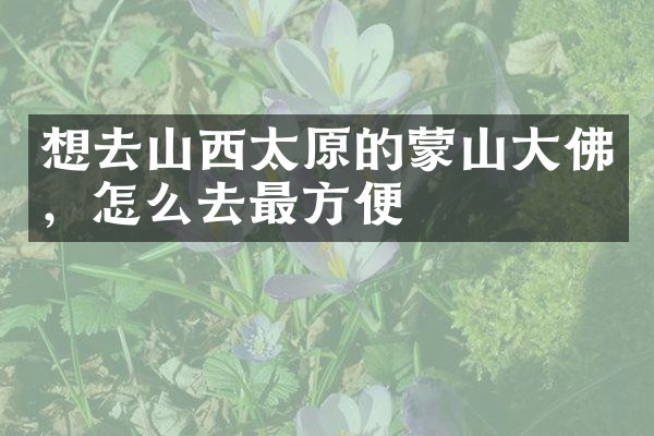 想去山西太原的蒙山大佛，怎么去最方便
