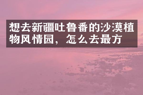 想去新疆吐鲁番的沙漠植物风情园，怎么去最方便