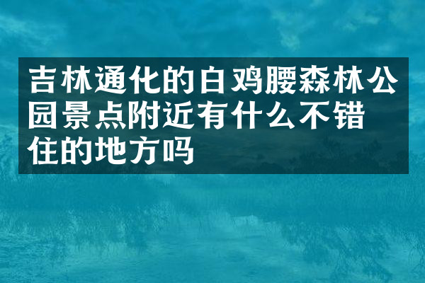 吉林通化的白鸡腰森林公园景点附近有什么不错的住的地方吗
