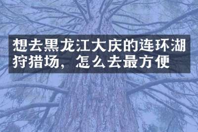 想去黑龙江大庆的连环湖狩猎场，怎么去最方便