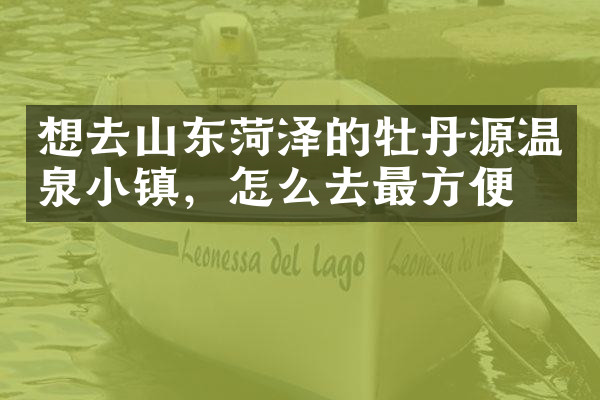 想去山东菏泽的牡丹源温泉小镇，怎么去最方便