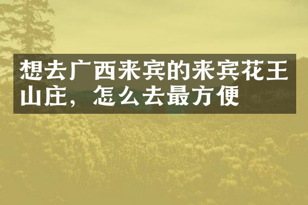 想去广西来宾的来宾花王山庄，怎么去最方便