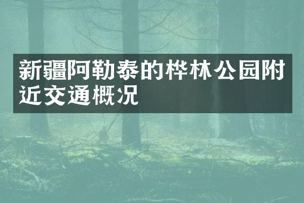新疆阿勒泰的桦林公园附近交通概况