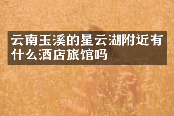 云南玉溪的星云湖附近有什么酒店旅馆吗
