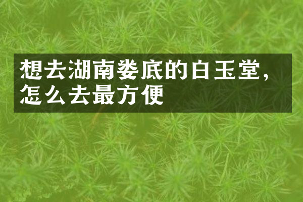 想去湖南娄底的白玉堂，怎么去最方便