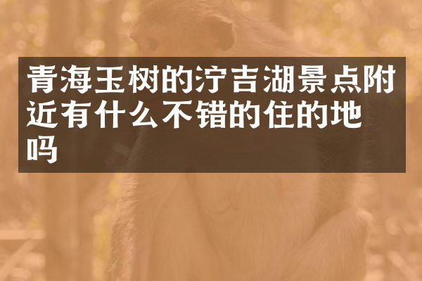 青海玉树的泞吉湖景点附近有什么不错的住的地方吗