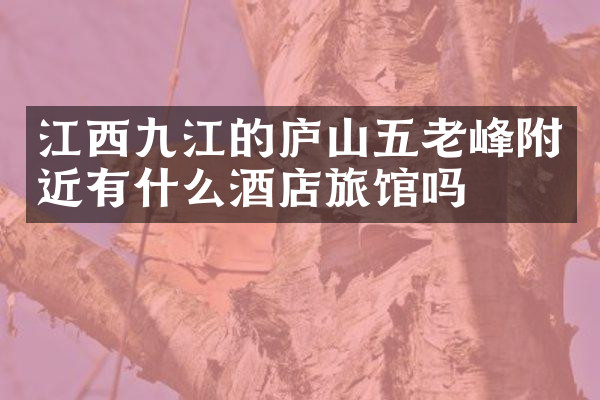 江西九江的庐山五老峰附近有什么酒店旅馆吗