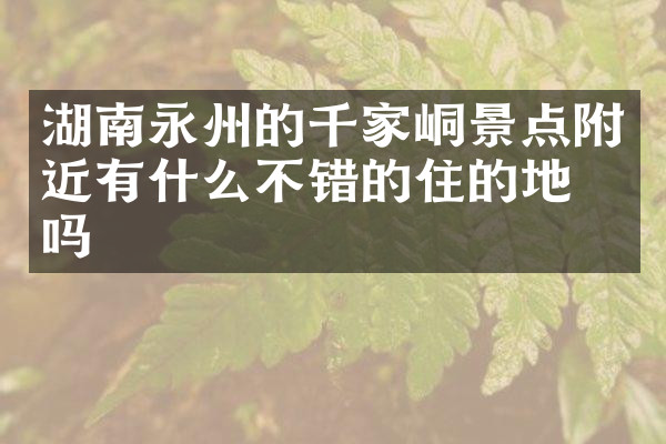 湖南永州的千家峒景点附近有什么不错的住的地方吗