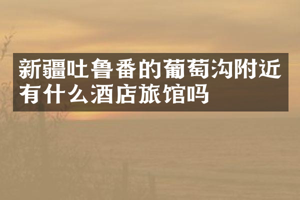 新疆吐鲁番的葡萄沟附近有什么酒店旅馆吗