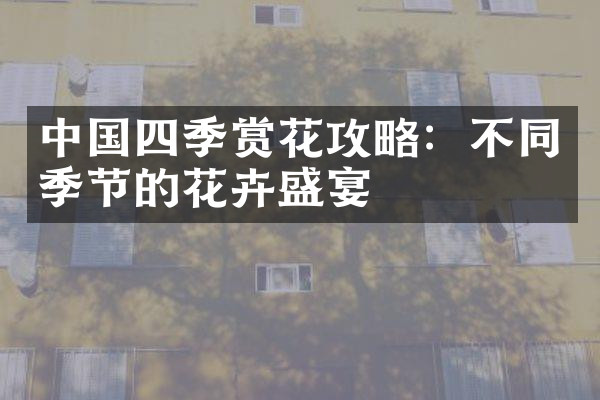 中国四季赏花攻略：不同季节的花卉盛宴