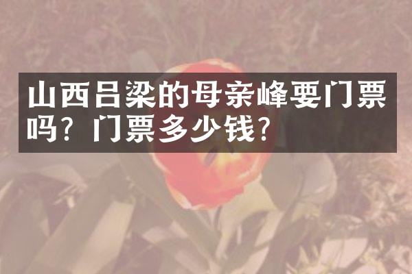 山西吕梁的母亲峰要门票吗？门票多少钱？