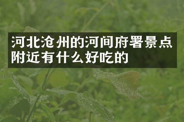 河北沧州的河间府署景点附近有什么好吃的