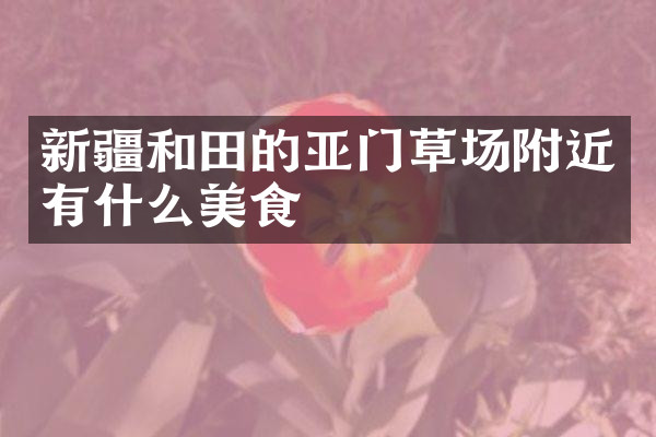 新疆和田的亚门草场附近有什么美食