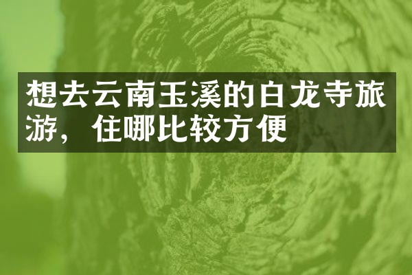想去云南玉溪的白龙寺旅游，住哪比较方便