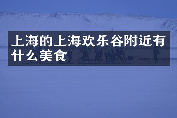 上海的上海欢乐谷附近有什么美食