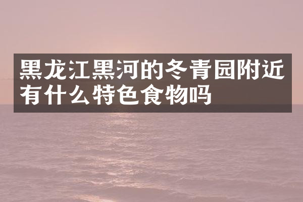 黑龙江黑河的冬青园附近有什么特色食物吗