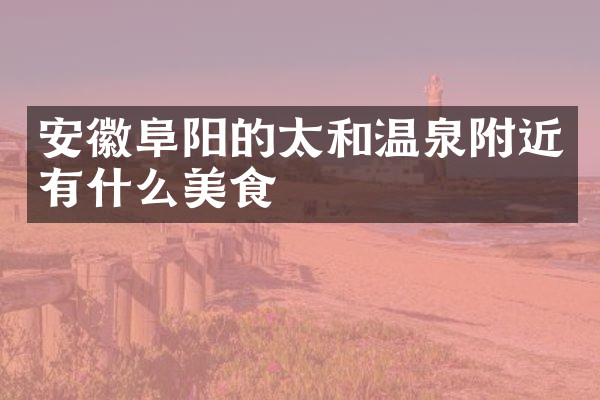 安徽阜阳的太和温泉附近有什么美食