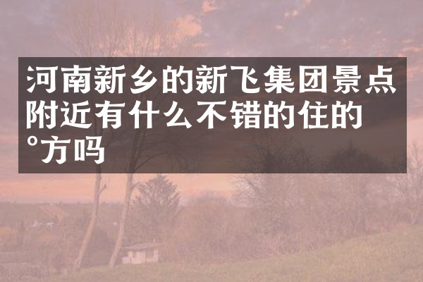 河南新乡的新飞集团景点附近有什么不错的住的地方吗