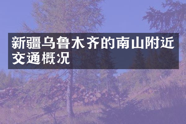 新疆乌鲁木齐的南山附近交通概况