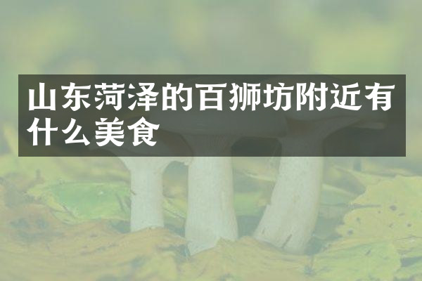 山东菏泽的百狮坊附近有什么美食