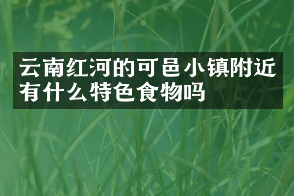 云南红河的可邑小镇附近有什么特色食物吗