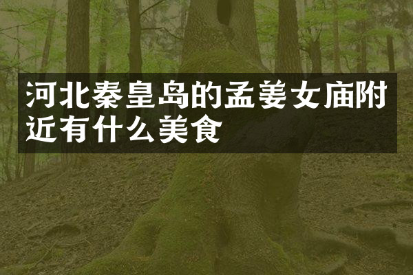 河北秦皇岛的孟姜女庙附近有什么美食