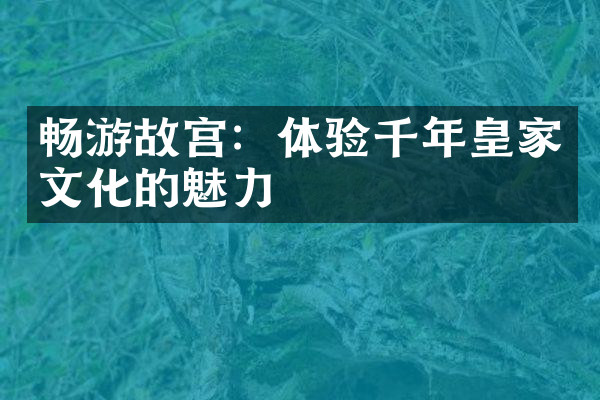 畅游故宫：体验千年皇家文化的魅力