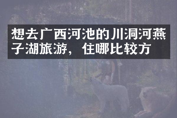 想去广西河池的川洞河燕子湖旅游，住哪比较方便