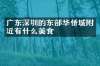 广东深圳的东部华侨城附近有什么美食