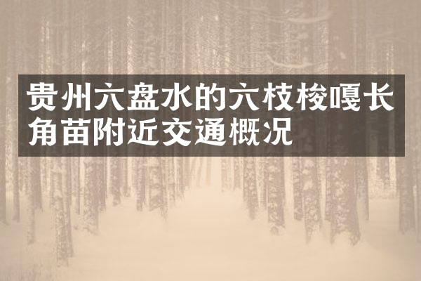 贵州六盘水的六枝梭嘎长角苗附近交通概况