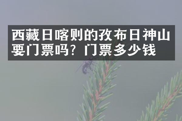 西藏日喀则的孜布日神山要门票吗？门票多少钱？