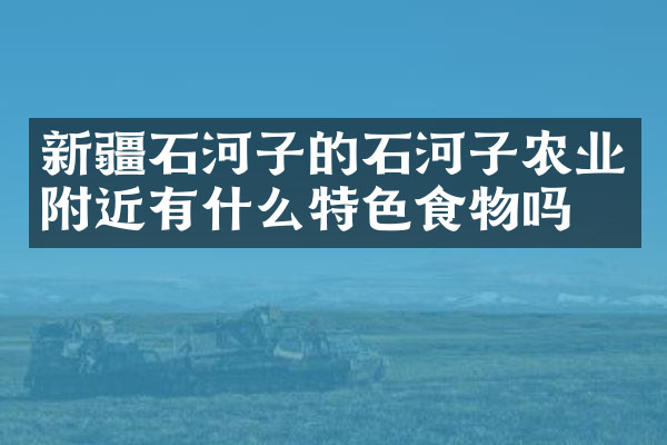新疆石河子的石河子农业附近有什么特色食物吗