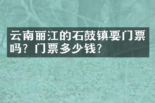 云南丽江的石鼓镇要门票吗？门票多少钱？