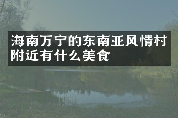 海南万宁的东南亚风情村附近有什么美食