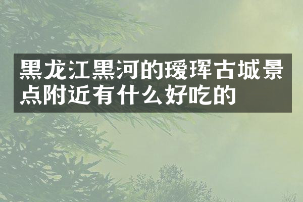 黑龙江黑河的瑷珲古城景点附近有什么好吃的
