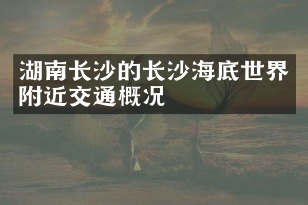 湖南长沙的长沙海底世界附近交通概况