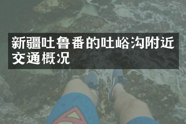 新疆吐鲁番的吐峪沟附近交通概况