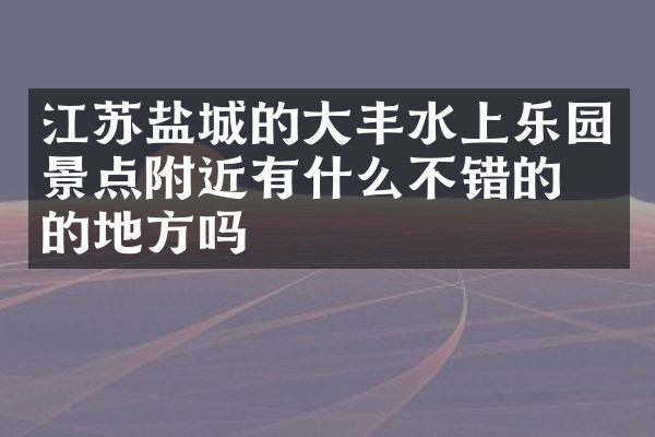 江苏盐城的大丰水上乐园景点附近有什么不错的住的地方吗