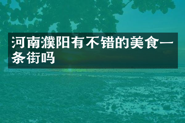 河南濮阳有不错的美食一条街吗