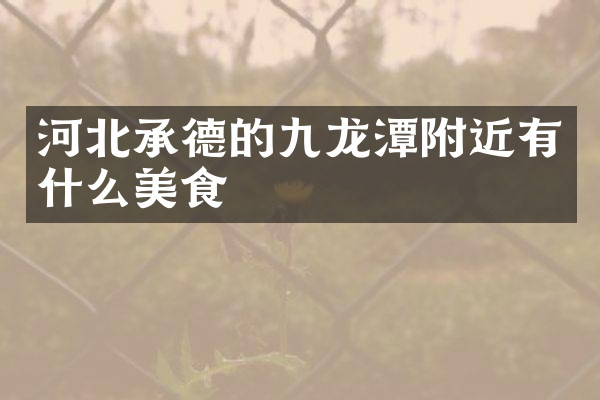 河北承德的九龙潭附近有什么美食