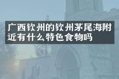 广西钦州的钦州茅尾海附近有什么特色食物吗