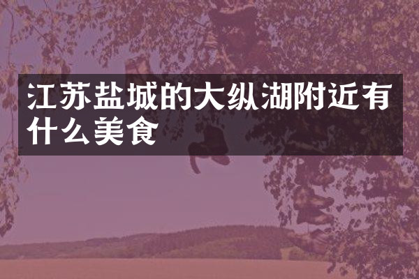 江苏盐城的大纵湖附近有什么美食
