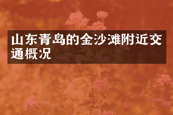 山东青岛的金沙滩附近交通概况