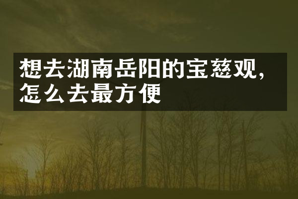 想去湖南岳阳的宝慈观，怎么去最方便