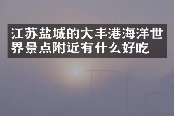 江苏盐城的大丰港海洋世界景点附近有什么好吃的
