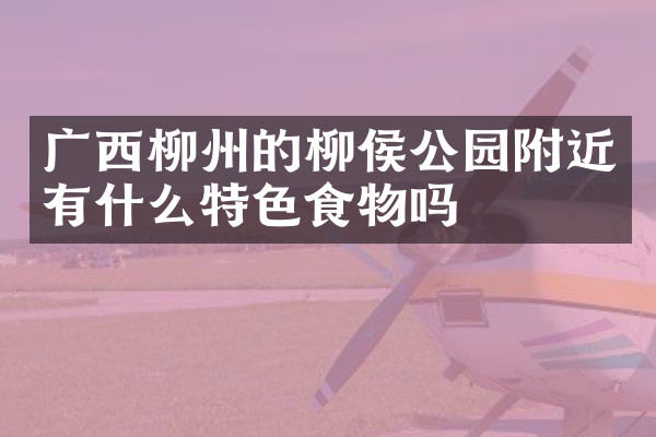 广西柳州的柳侯公园附近有什么特色食物吗