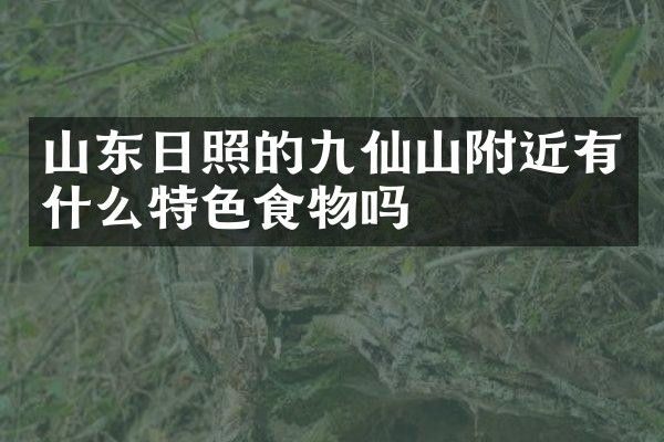 山东日照的九仙山附近有什么特色食物吗