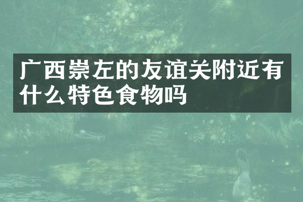 广西崇左的友谊关附近有什么特色食物吗