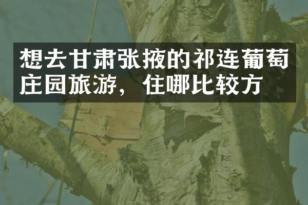 想去甘肃张掖的祁连葡萄庄园旅游，住哪比较方便
