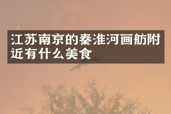 江苏南京的秦淮河画舫附近有什么美食